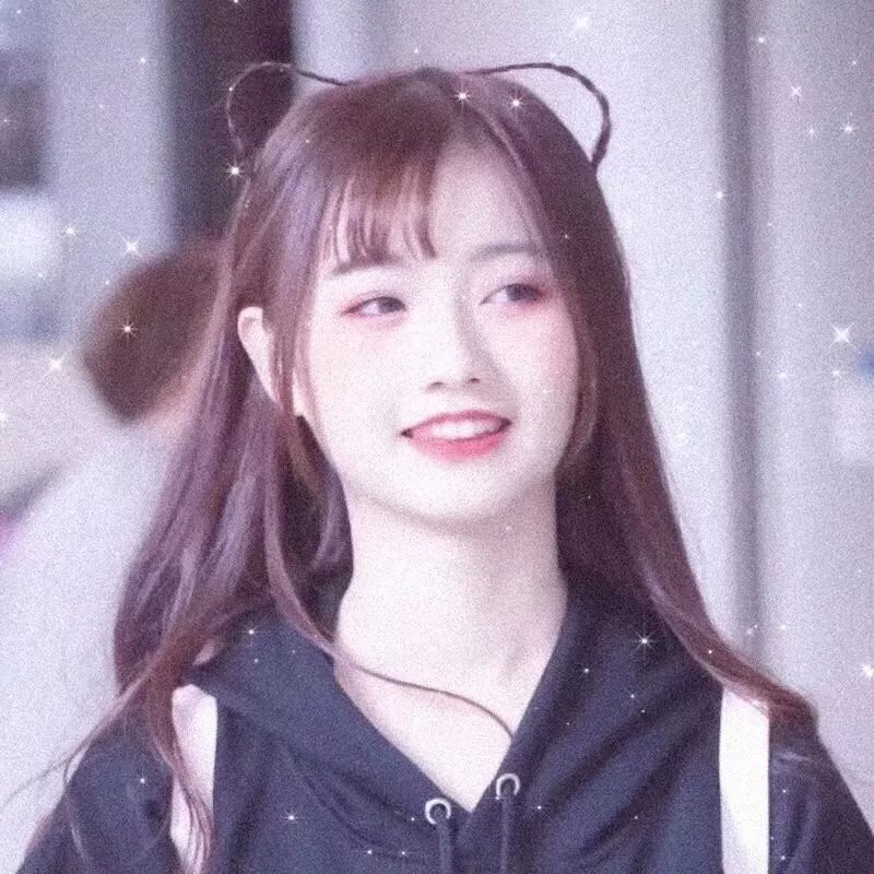 巡回检察组